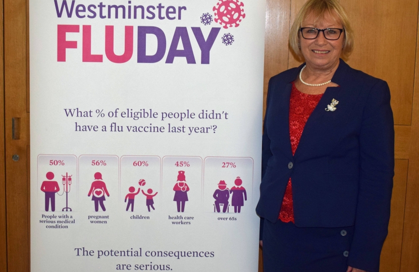 Sheryll Murray at the Westminster Flu day 