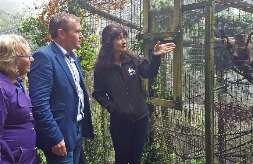 George Eustice & Sheryll Murray at Wild Futures Monkey Sanctuary